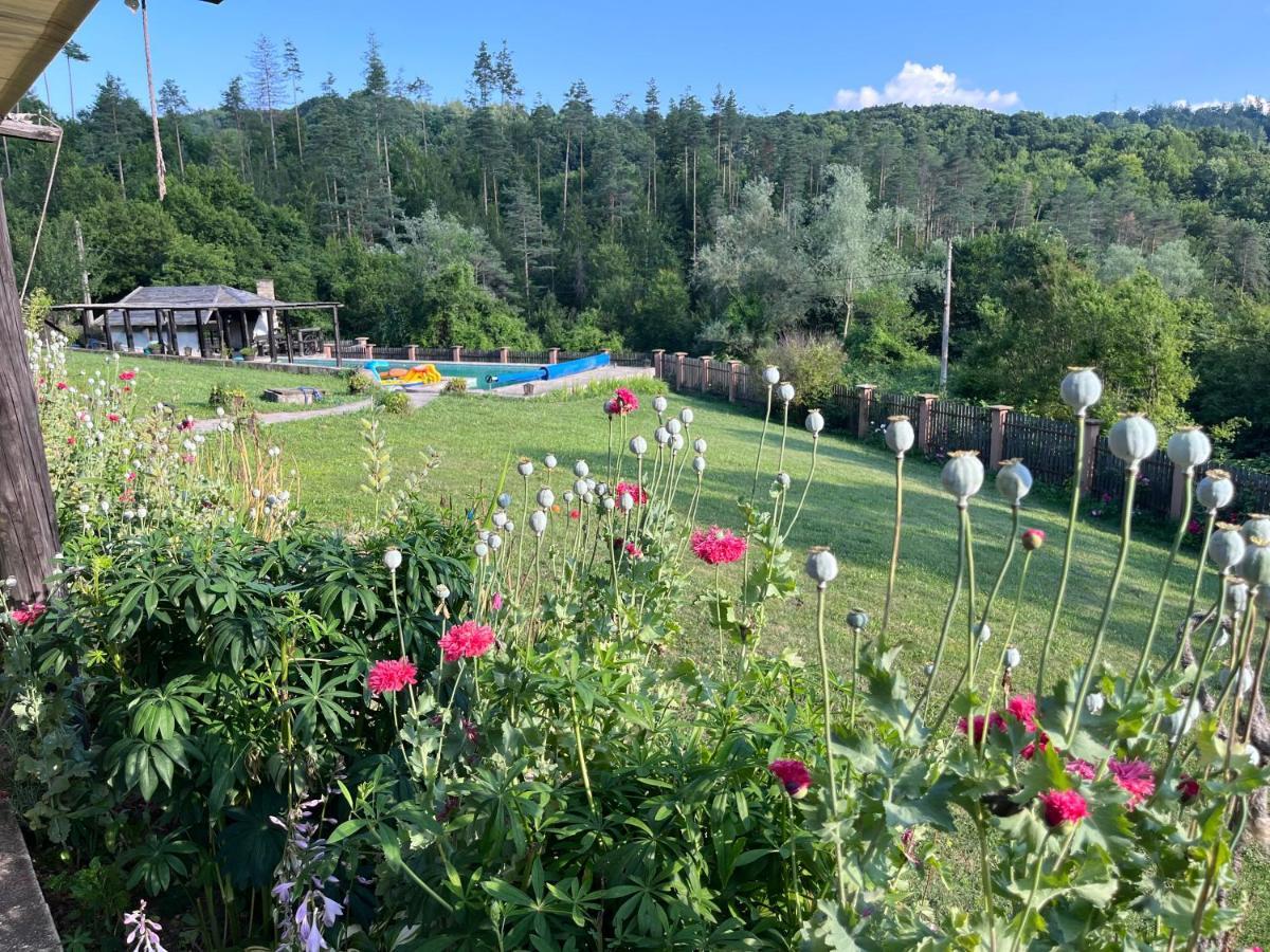 הוילה טריאבנה Agriturismo Hidden Paradise מראה חיצוני תמונה