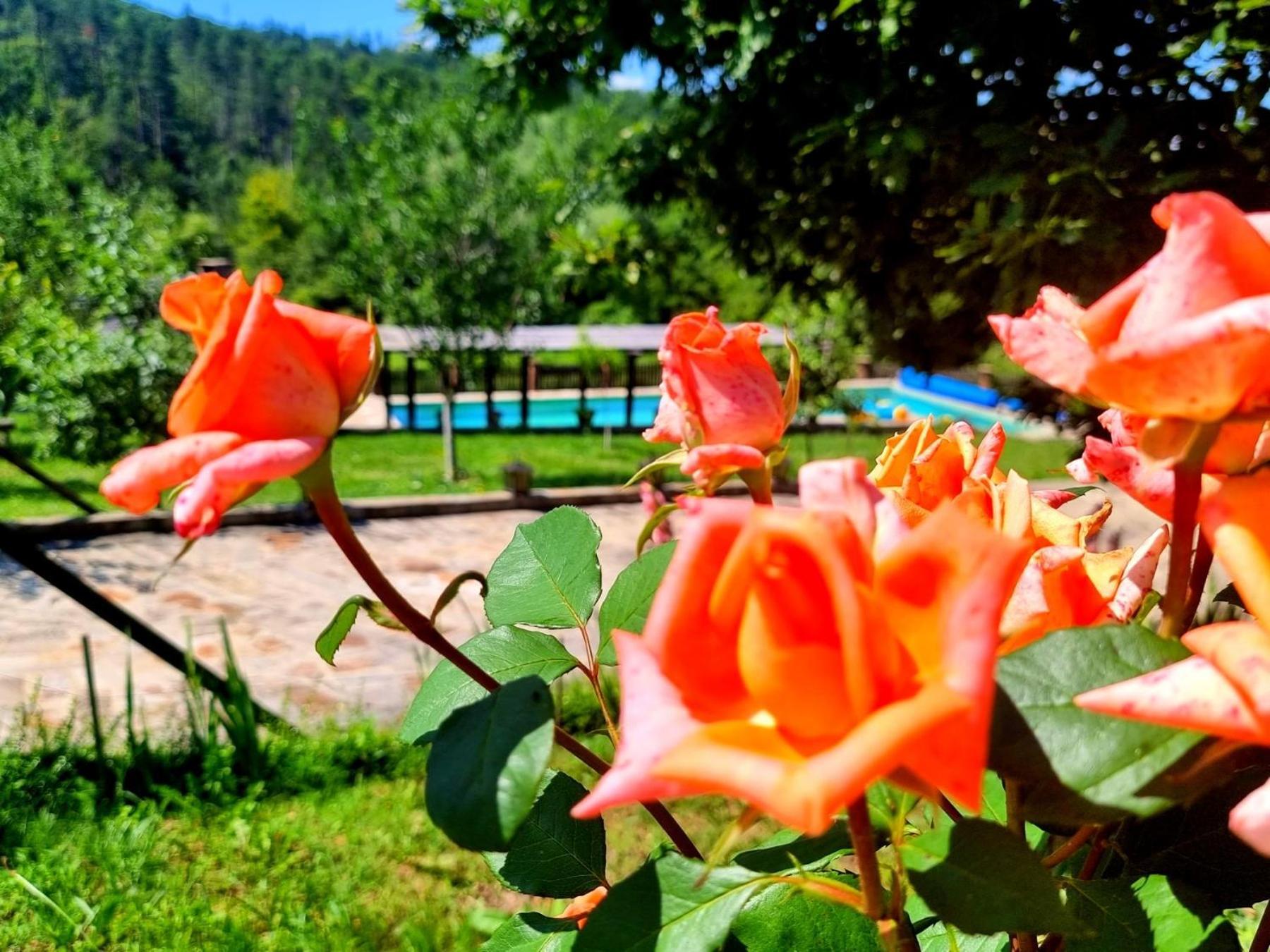 הוילה טריאבנה Agriturismo Hidden Paradise מראה חיצוני תמונה