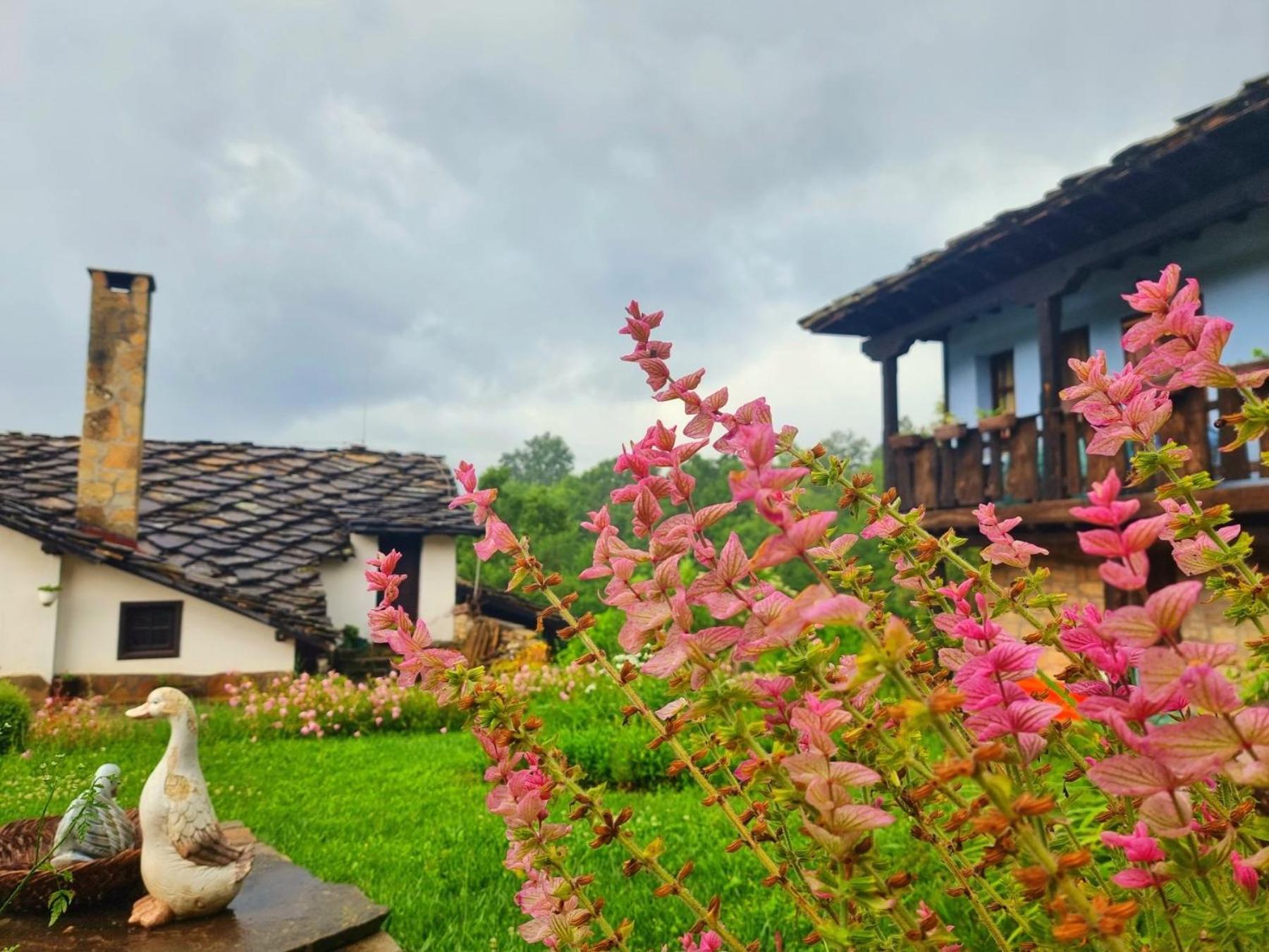 הוילה טריאבנה Agriturismo Hidden Paradise מראה חיצוני תמונה