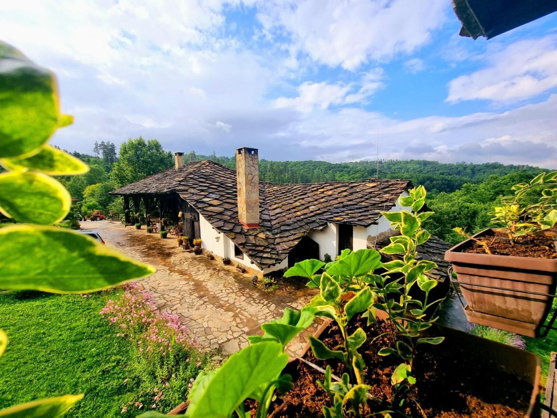 הוילה טריאבנה Agriturismo Hidden Paradise מראה חיצוני תמונה