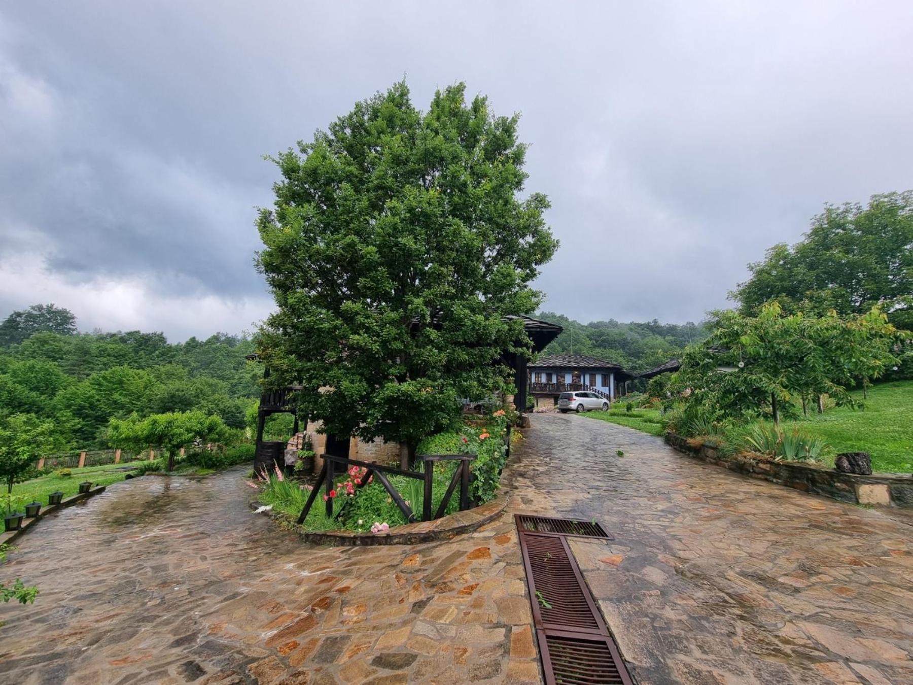 הוילה טריאבנה Agriturismo Hidden Paradise מראה חיצוני תמונה