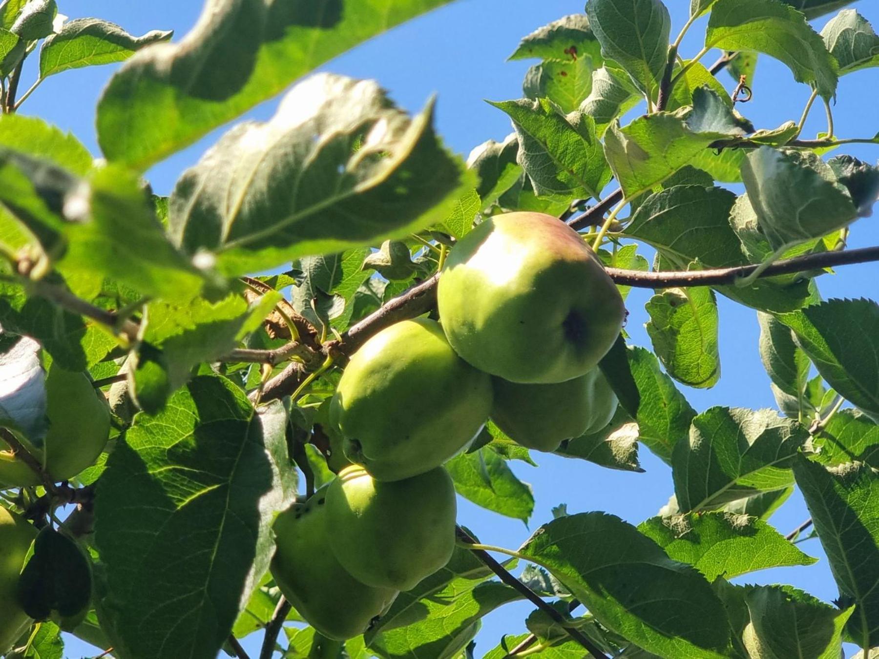 הוילה טריאבנה Agriturismo Hidden Paradise מראה חיצוני תמונה
